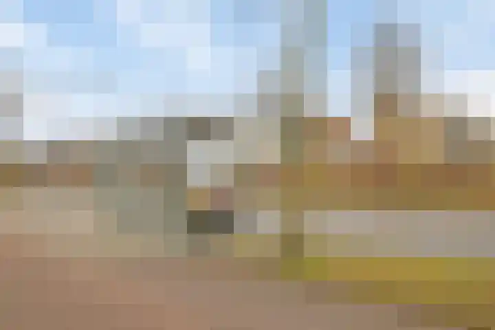 Agoraweg 123 Lelystad thumbnail 52