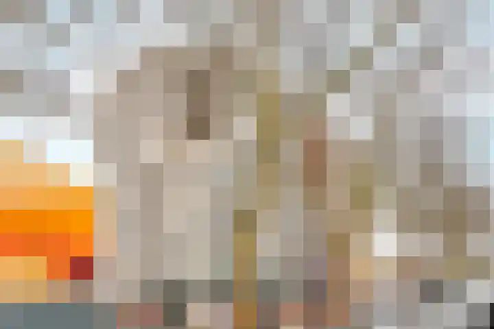 Agoraweg 123 Lelystad thumbnail 56