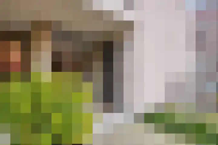 Agoraweg 123 Lelystad thumbnail 7