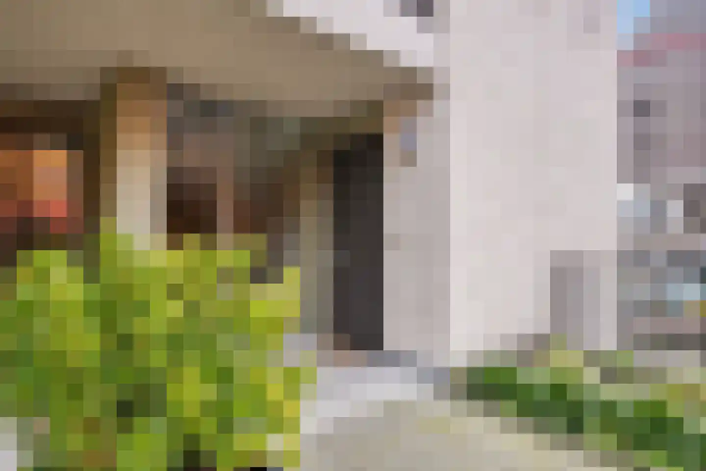 Agoraweg 123 Lelystad thumbnail 7