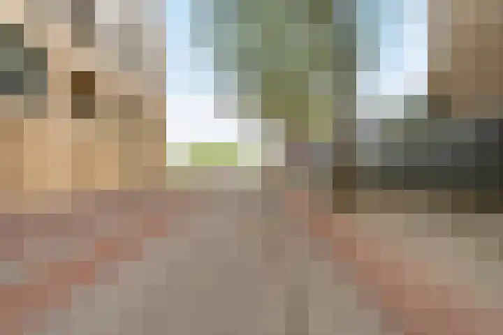 Agoraweg 175 Lelystad thumbnail 32