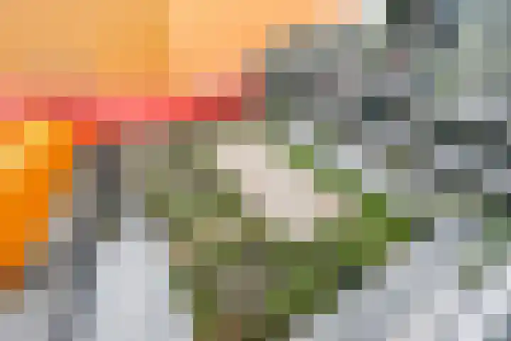 Agoraweg 175 Lelystad thumbnail 6