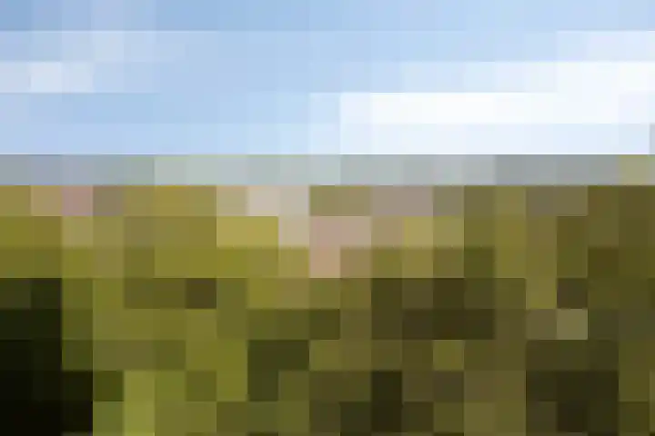 Agoraweg 191 Lelystad thumbnail 18