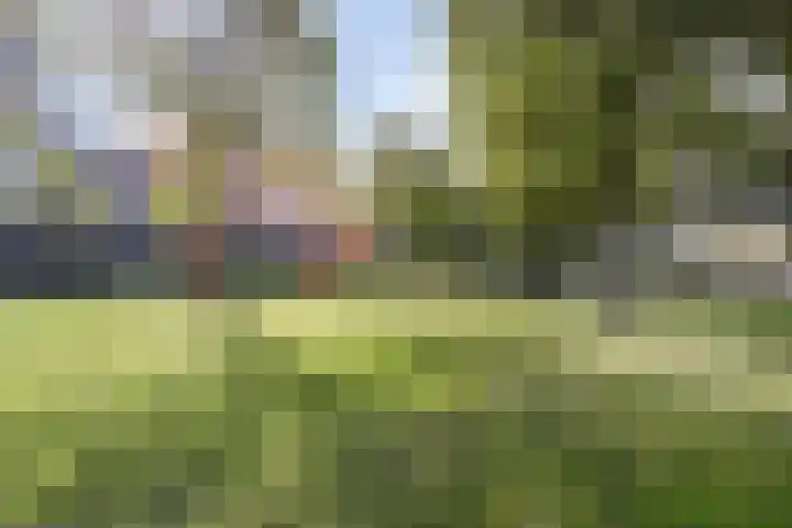 Agoraweg 191 Lelystad thumbnail 33