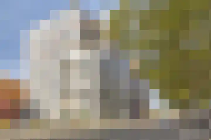 Agoraweg 191 Lelystad thumbnail 4