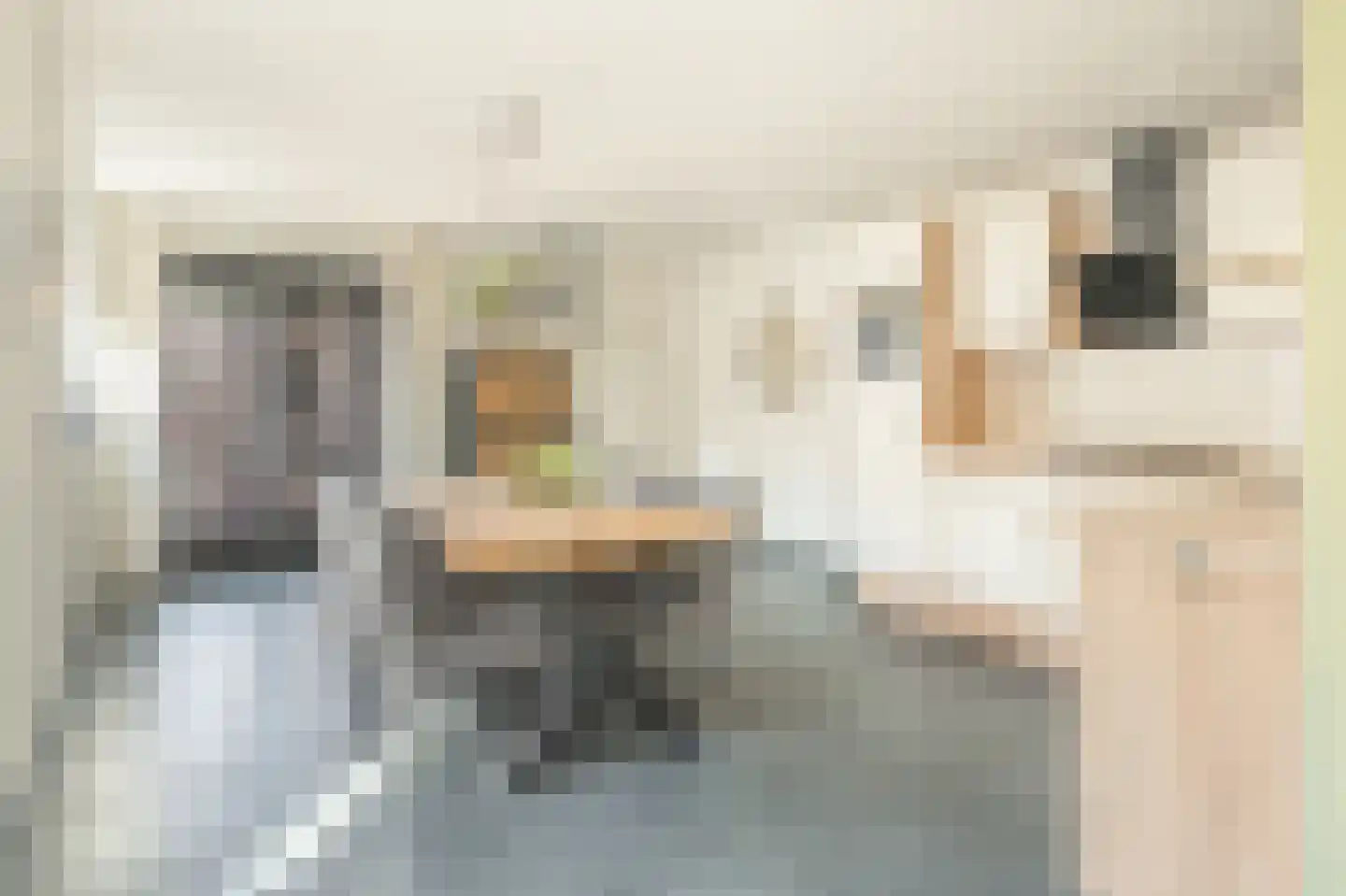 Agostraat 25 Ter Apel thumbnail 21