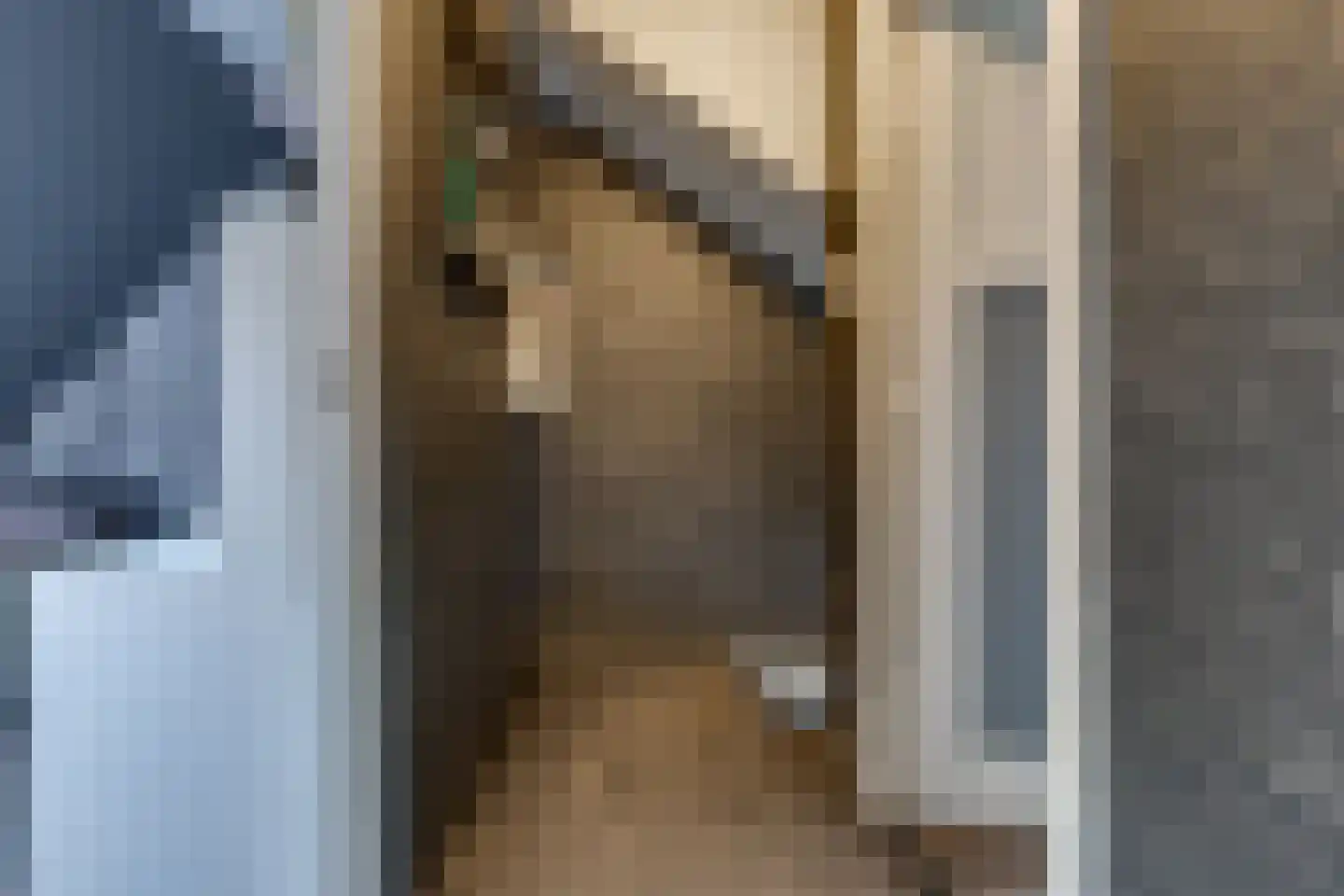 Agostraat 68 Ter Apel thumbnail 22