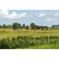 Logo Agricola Makelaardij