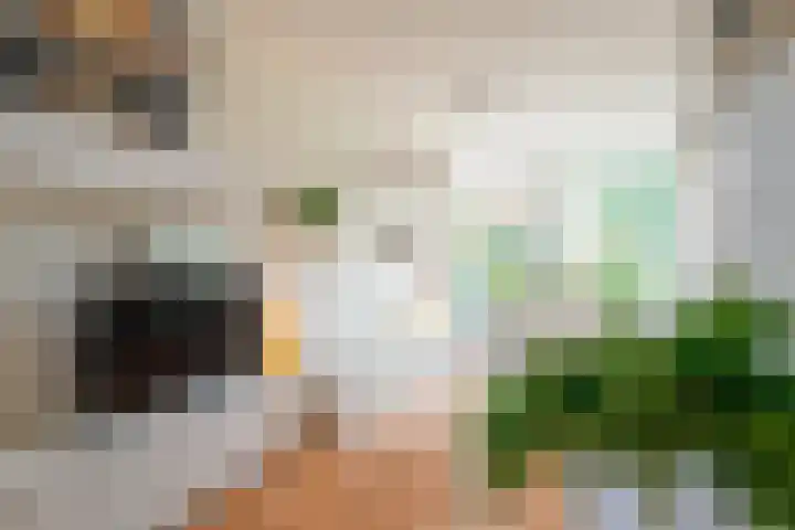 Agricolahof 14 Haren Gn thumbnail 21