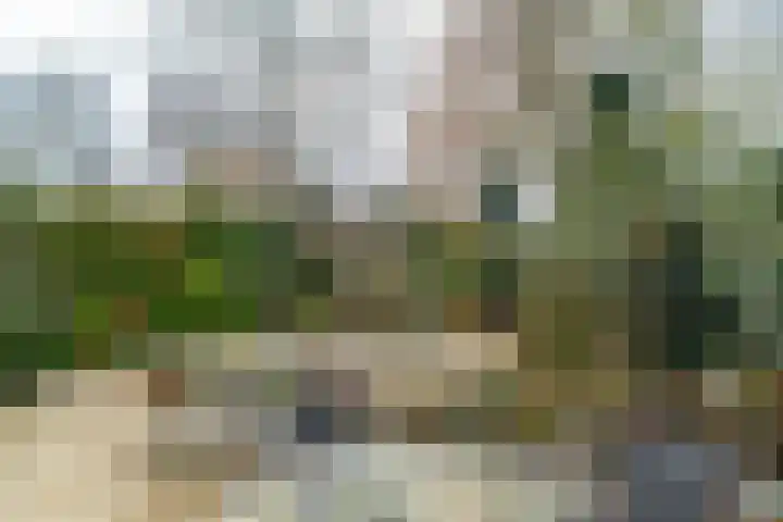 Agricolahof 14 Haren Gn thumbnail 53