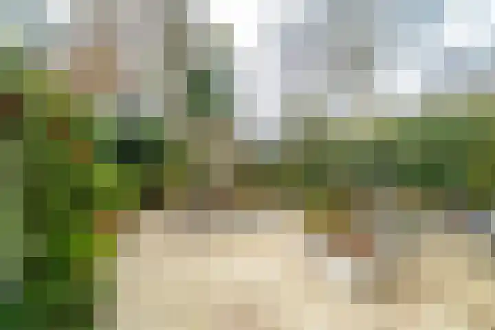 Agricolahof 14 Haren Gn thumbnail 54