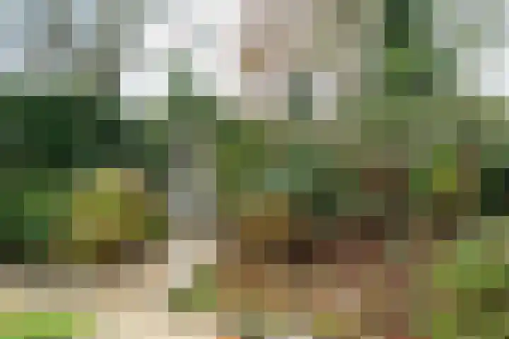 Agricolahof 14 Haren Gn thumbnail 55