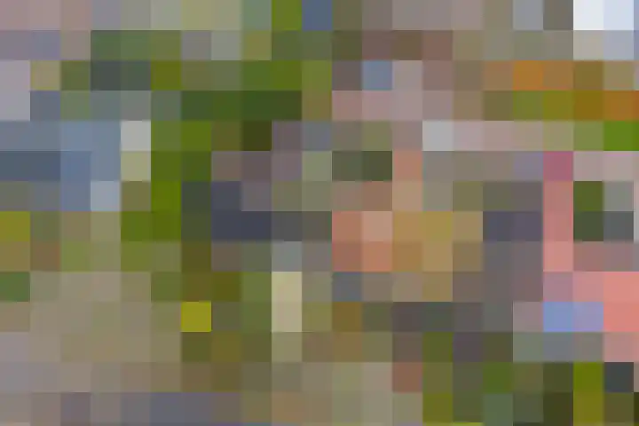 Agricolahof 14 Haren Gn thumbnail 56