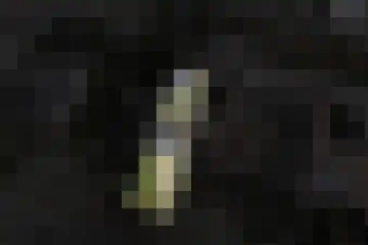 Agricolahof 14 Haren Gn thumbnail 57