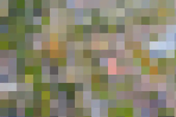 Agricolahof 14 Haren Gn thumbnail 58