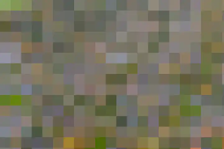 Agricolahof 14 Haren Gn thumbnail 59