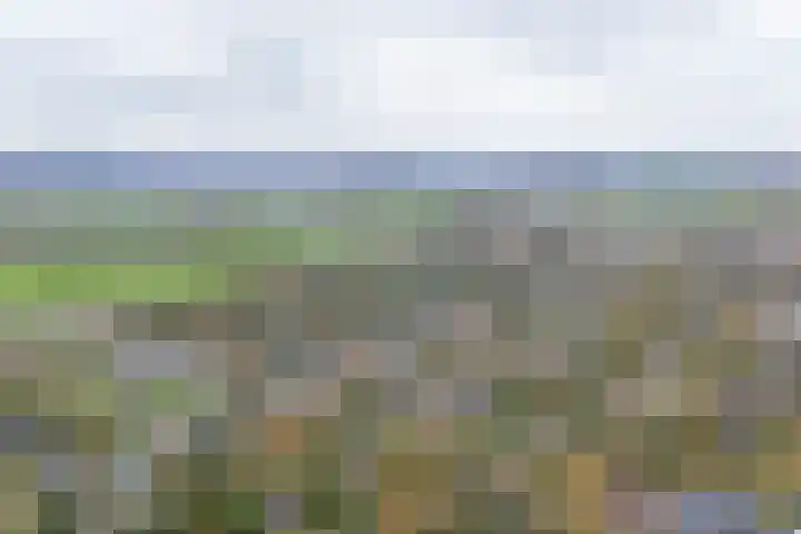 Agricolahof 14 Haren Gn thumbnail 60