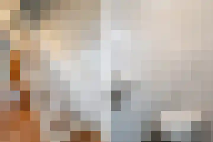 Agricolahof 2 Haren Gn thumbnail 22