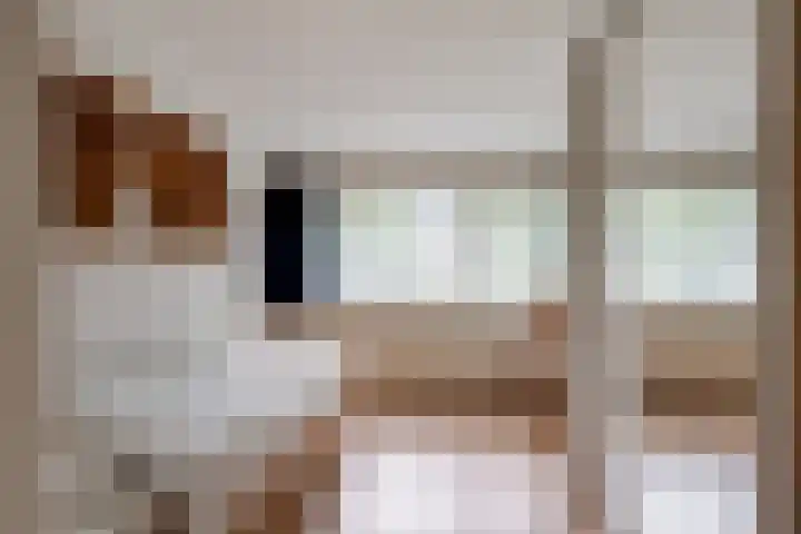 Agricolahof 2 Haren Gn thumbnail 29