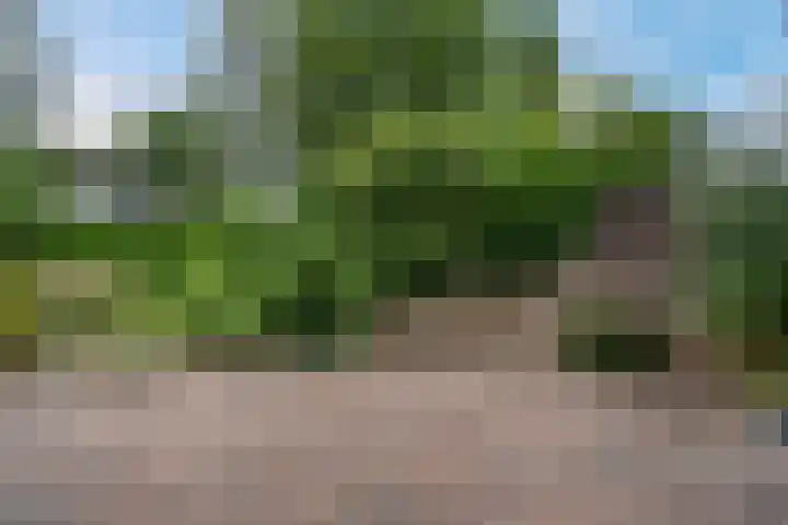 Agricolahof 2 Haren Gn thumbnail 39