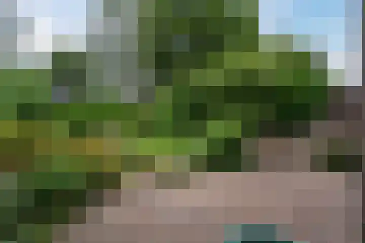 Agricolahof 2 Haren Gn thumbnail 4