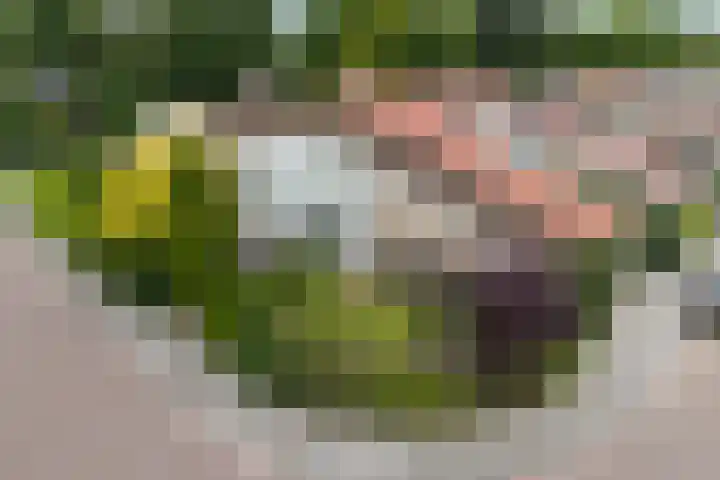 Agricolahof 2 Haren Gn thumbnail 43