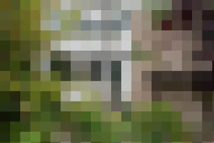 Agricolahof 2 Haren Gn thumbnail 7