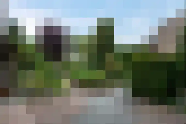 Agricolahof 2 Haren Gn thumbnail 8