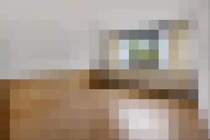 Agricolahof 23 Haren Gn thumbnail 27