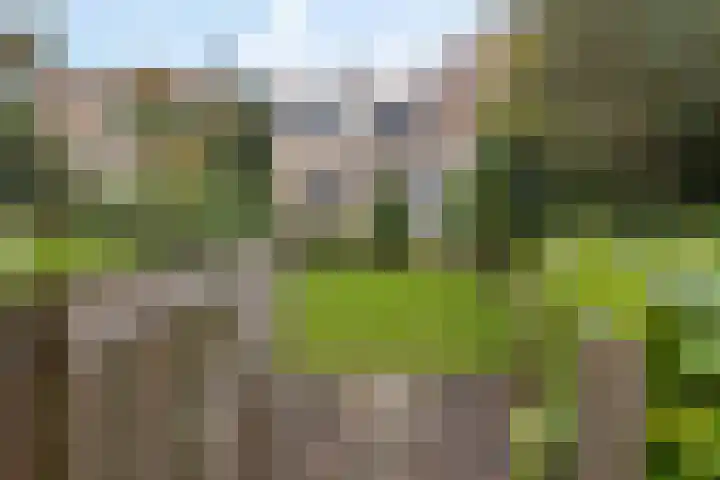Agricolahof 23 Haren Gn foto 3