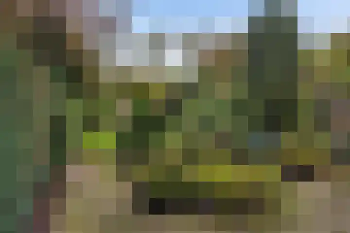 Agricolahof 23 Haren Gn thumbnail 40