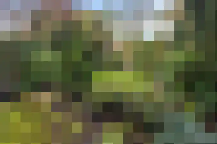 Agricolahof 23 Haren Gn thumbnail 41