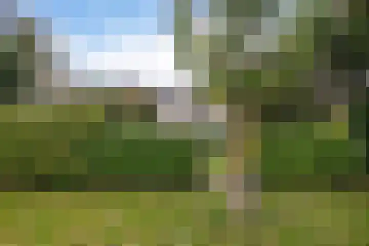 Agricolahof 23 Haren Gn thumbnail 42