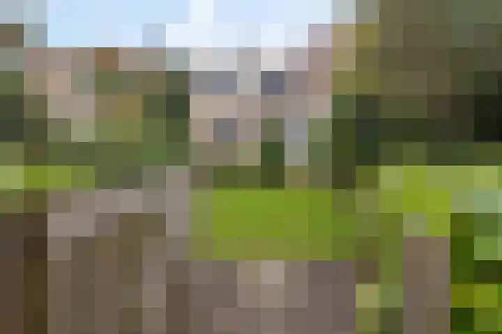 Agricolahof 23 Haren Gn thumbnail 43