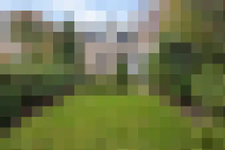 Agricolahof 23 Haren Gn thumbnail 44