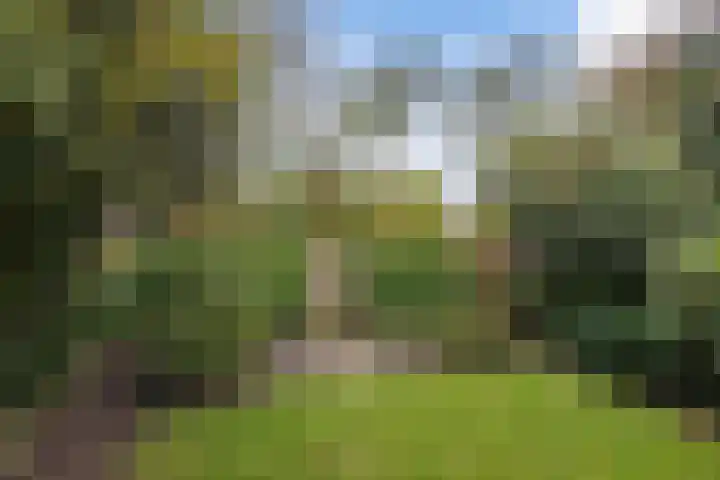 Agricolahof 23 Haren Gn thumbnail 46