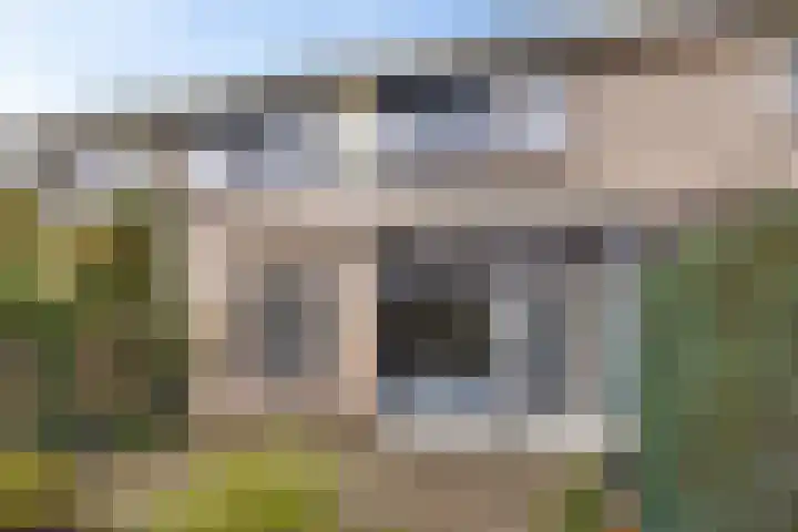Agricolahof 23 Haren Gn thumbnail 47