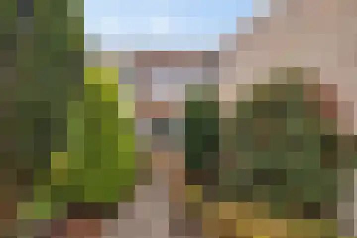 Agricolahof 23 Haren Gn thumbnail 5