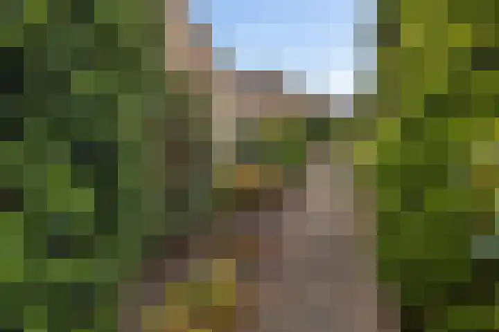 Agricolahof 23 Haren Gn thumbnail 6