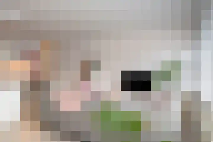 Agricolastraat 10 Sittard thumbnail 11