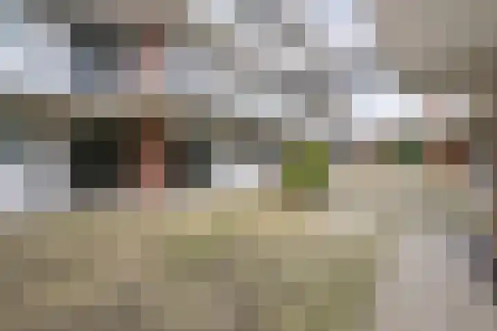 Agricolastraat 10 Sittard thumbnail 25