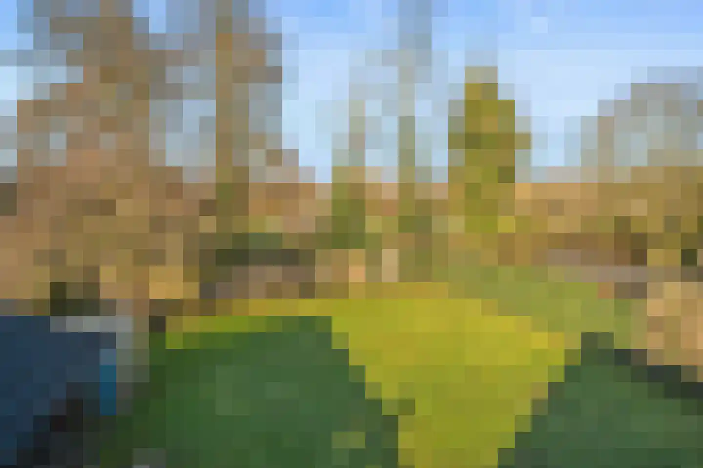Agricolastraat 14 Apeldoorn thumbnail 25