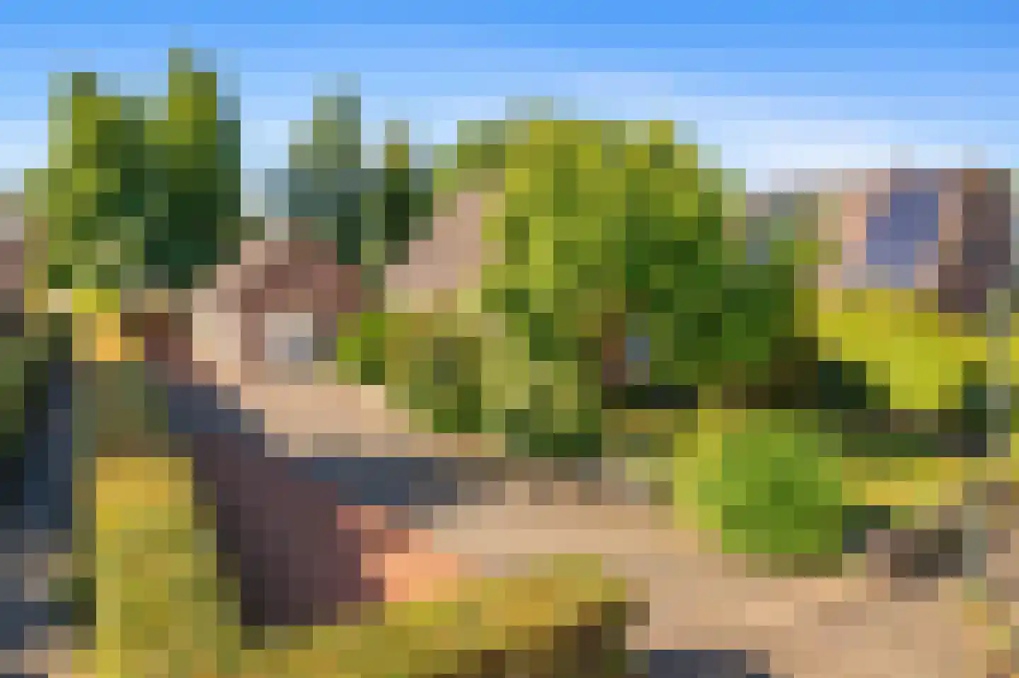 Agricolastraat 14 Apeldoorn thumbnail 26