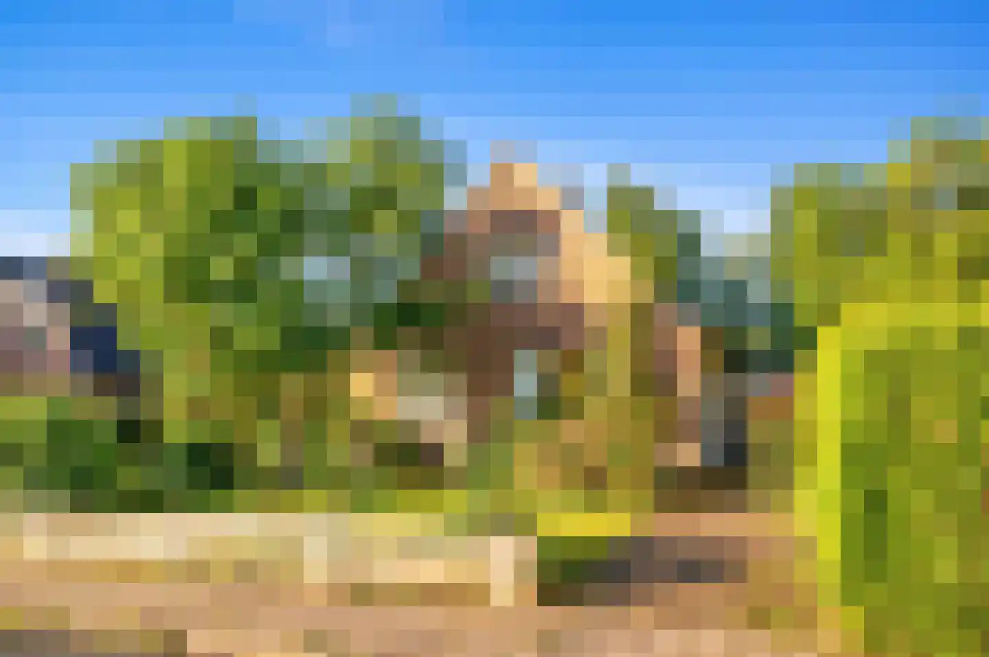 Agricolastraat 14 Apeldoorn thumbnail 27