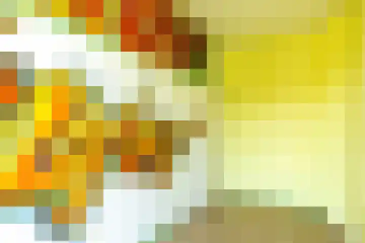 Agricolastraat 18 Groningen thumbnail 23