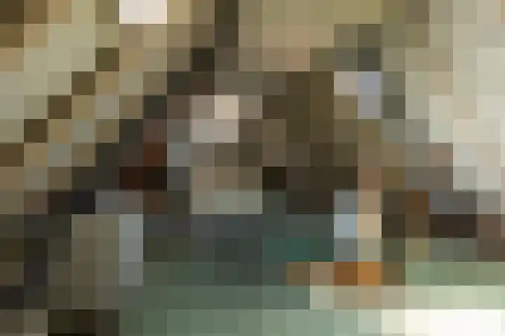 Agricolastraat 18 Groningen thumbnail 28