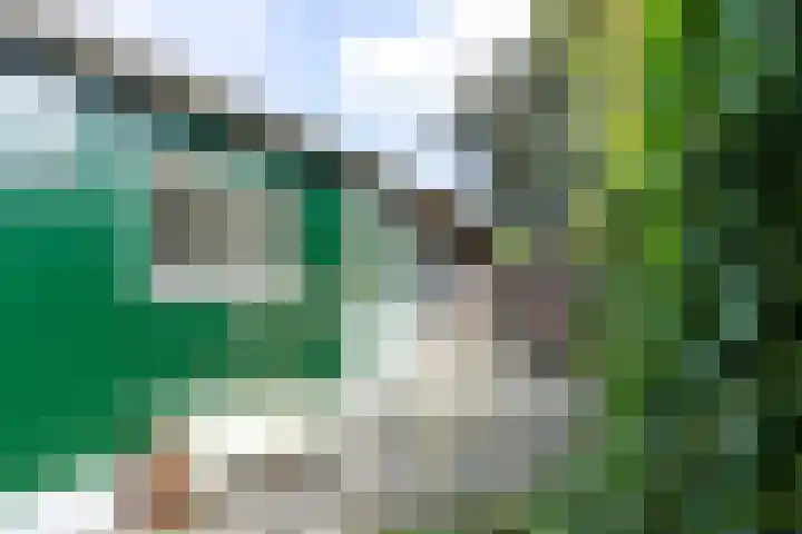 Agricolastraat 18 Groningen thumbnail 33