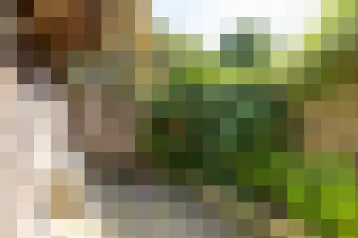 Agricolastraat 18 Groningen thumbnail 36