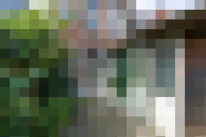 Agricolastraat 18 Groningen thumbnail 5
