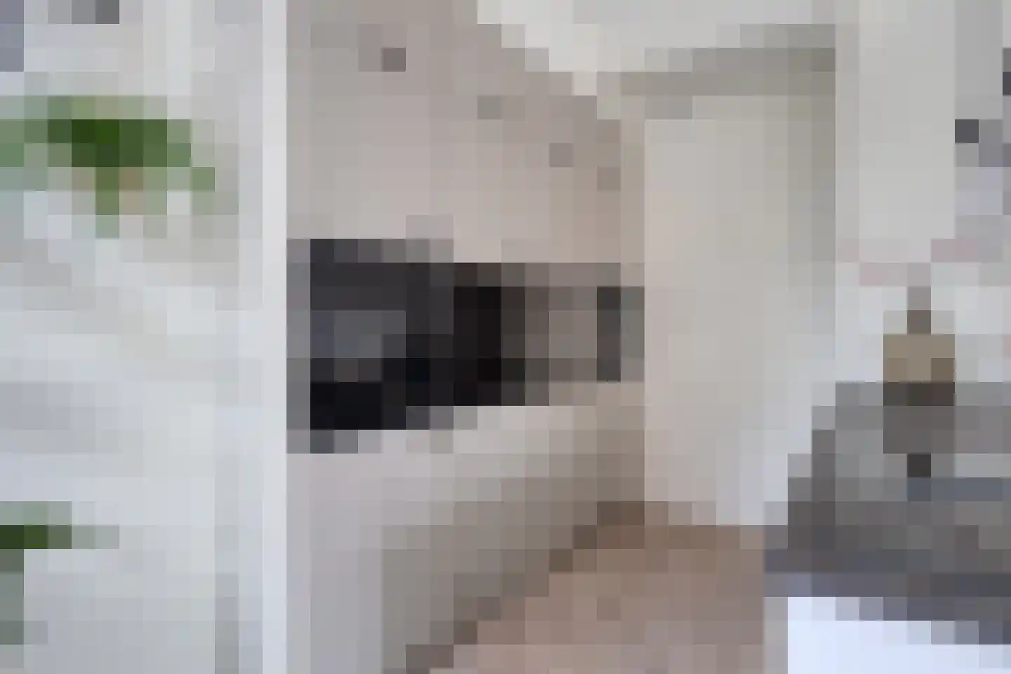 Agricolastraat 2 Groningen thumbnail 18